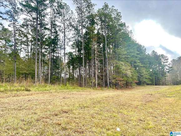 6.04 Acres of Mixed-Use Land for Sale in Wedowee, Alabama