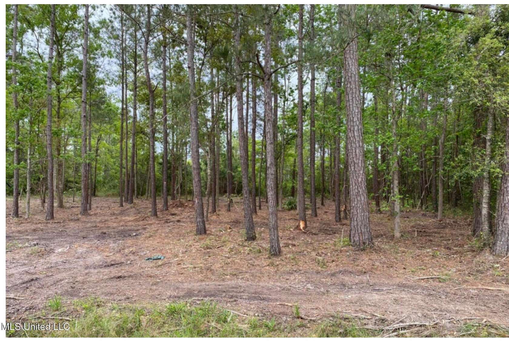 0.31 Acres of Residential Land for Sale in Pass Christian, Mississippi