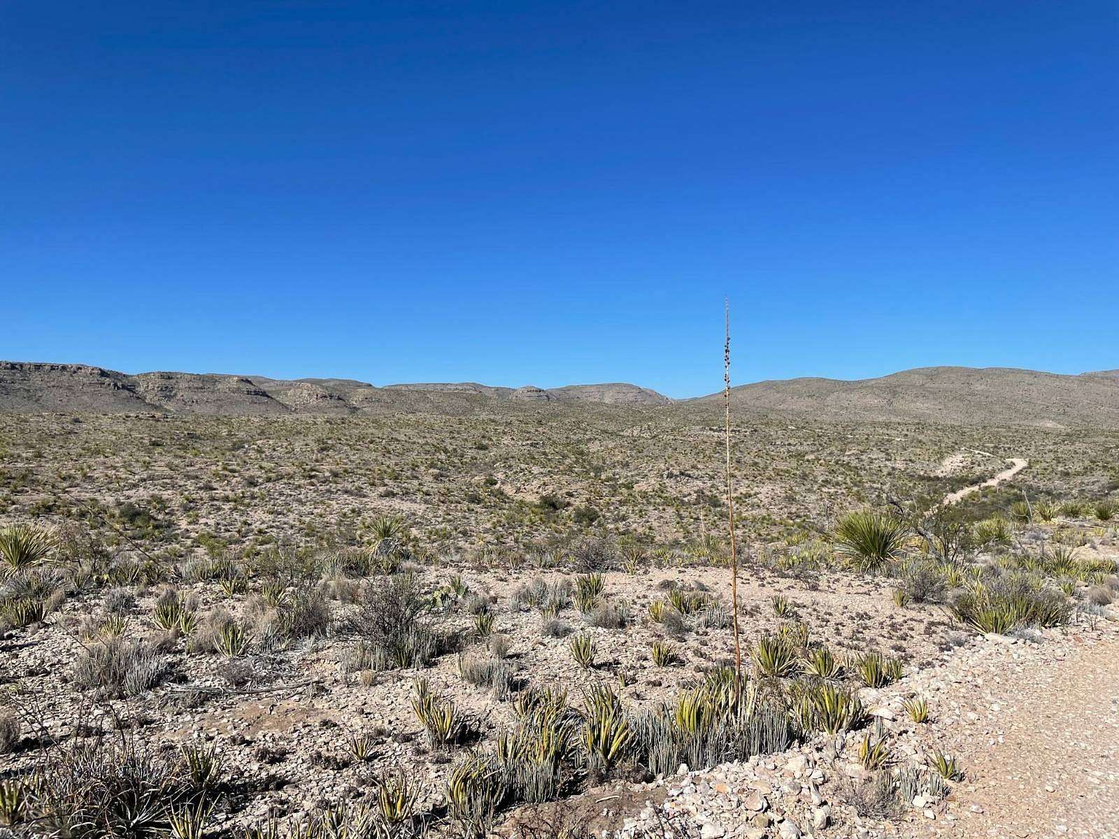 20 Acres of Land for Sale in Terlingua, Texas