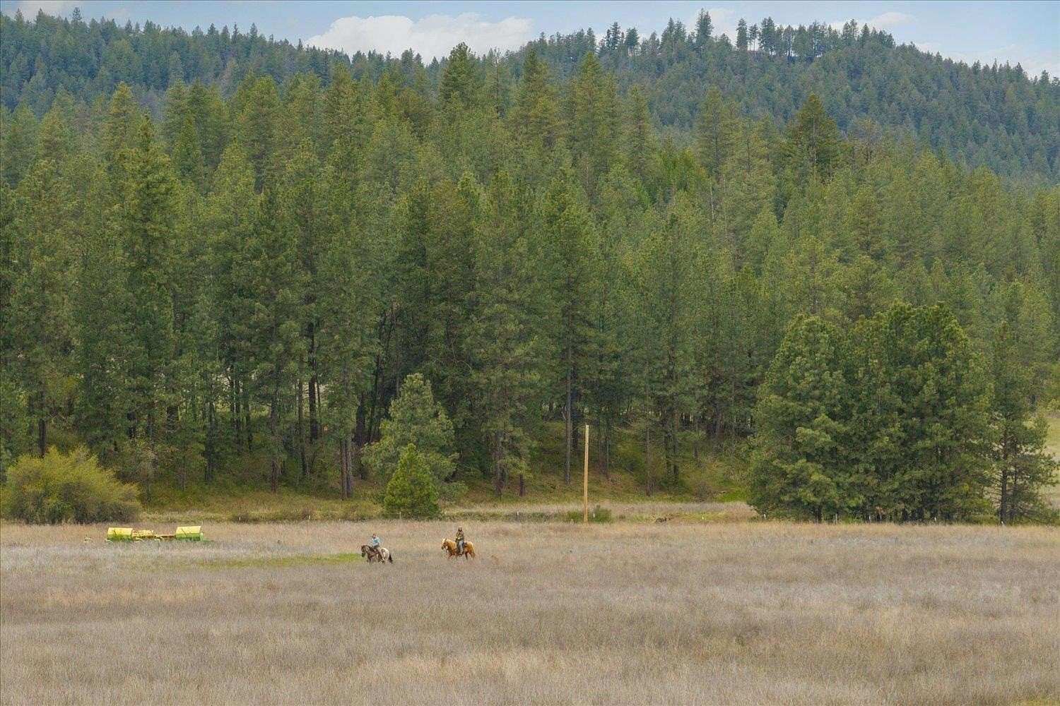 40 Acres of Agricultural Land for Sale in Reardan, Washington