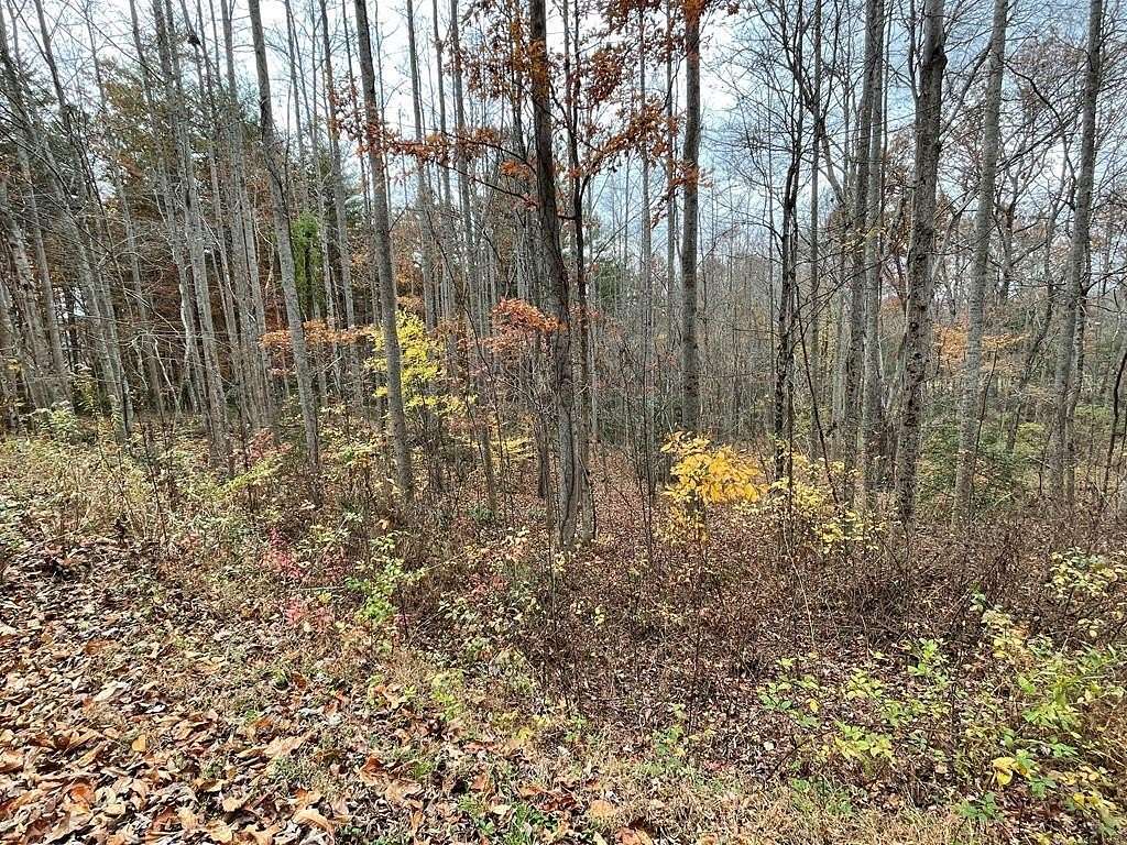 11.08 Acres of Land for Sale in Blairsville, Georgia