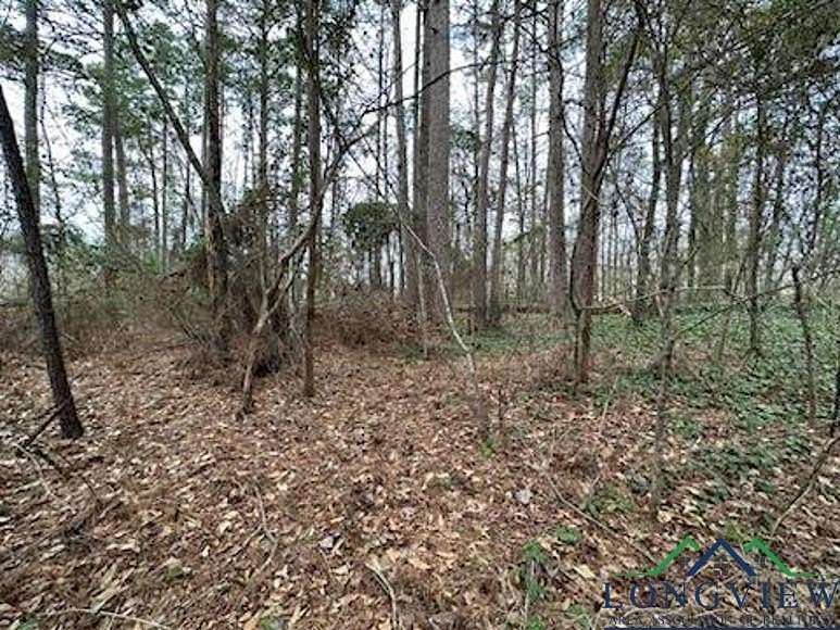 Residential Land for Sale in Tyler, Texas