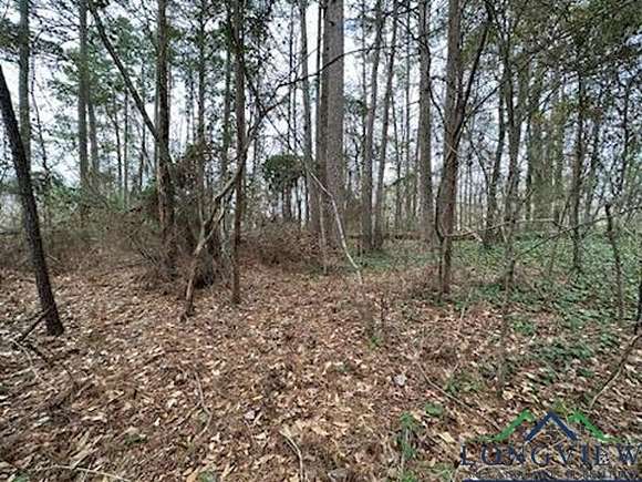 Residential Land for Sale in Tyler, Texas