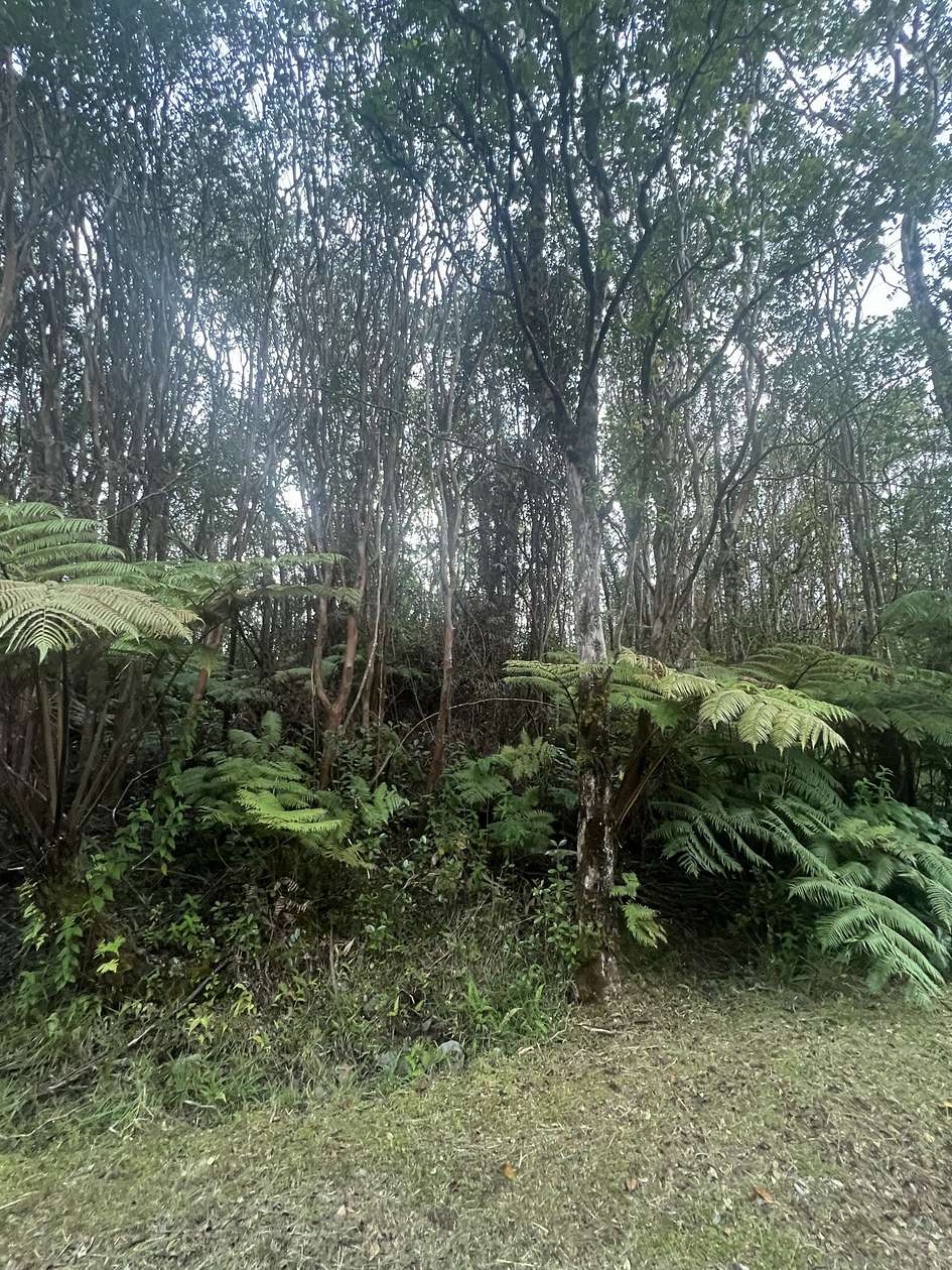 0.276 Acres of Land for Sale in Volcano, Hawaii