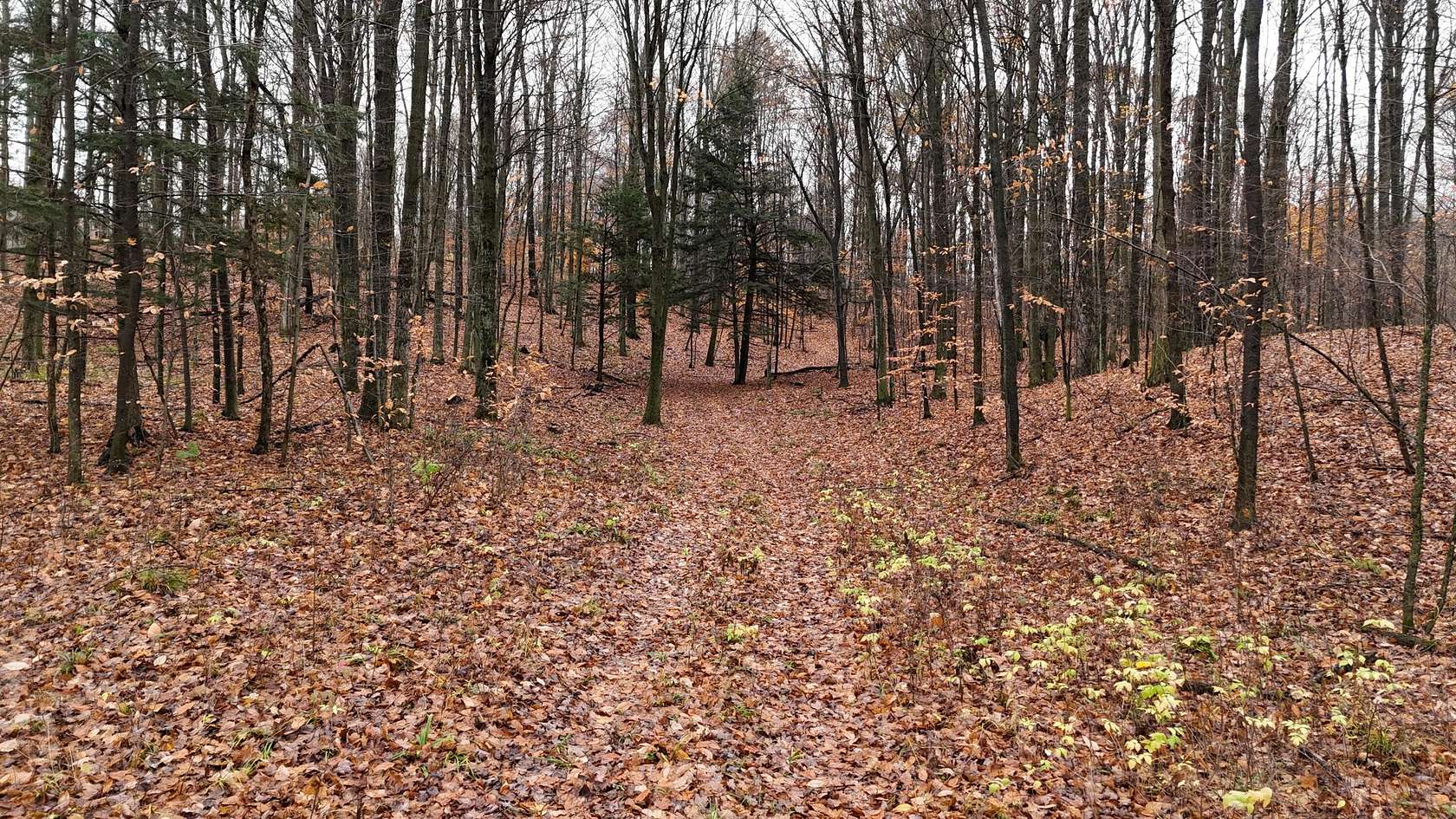 10 Acres of Recreational Land for Sale in Copemish, Michigan