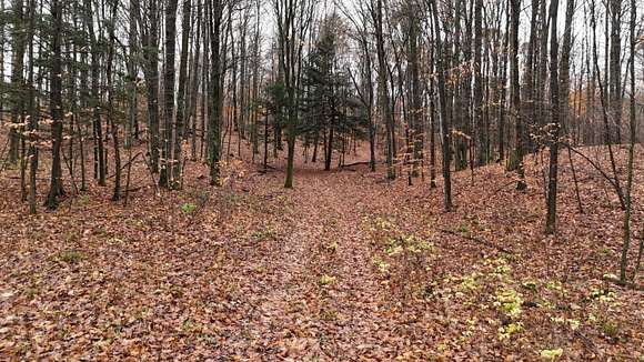 10 Acres of Recreational Land for Sale in Copemish, Michigan