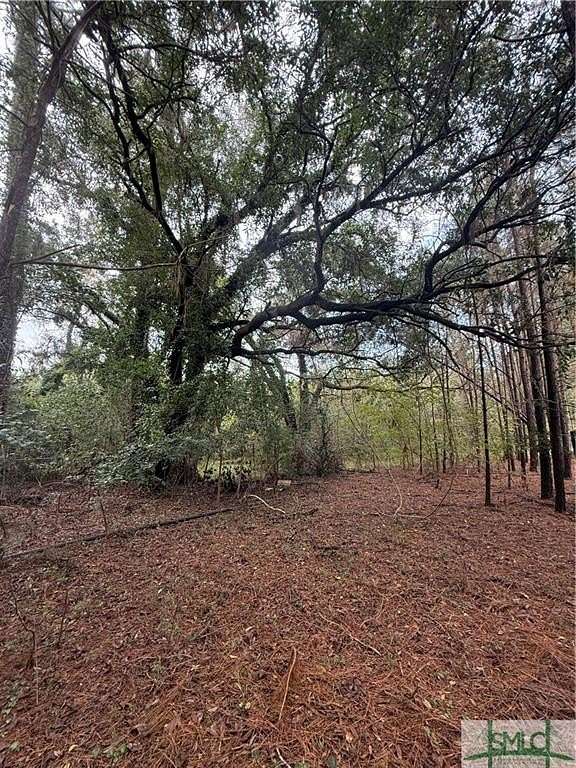 0.57 Acres of Residential Land for Sale in Fleming, Georgia