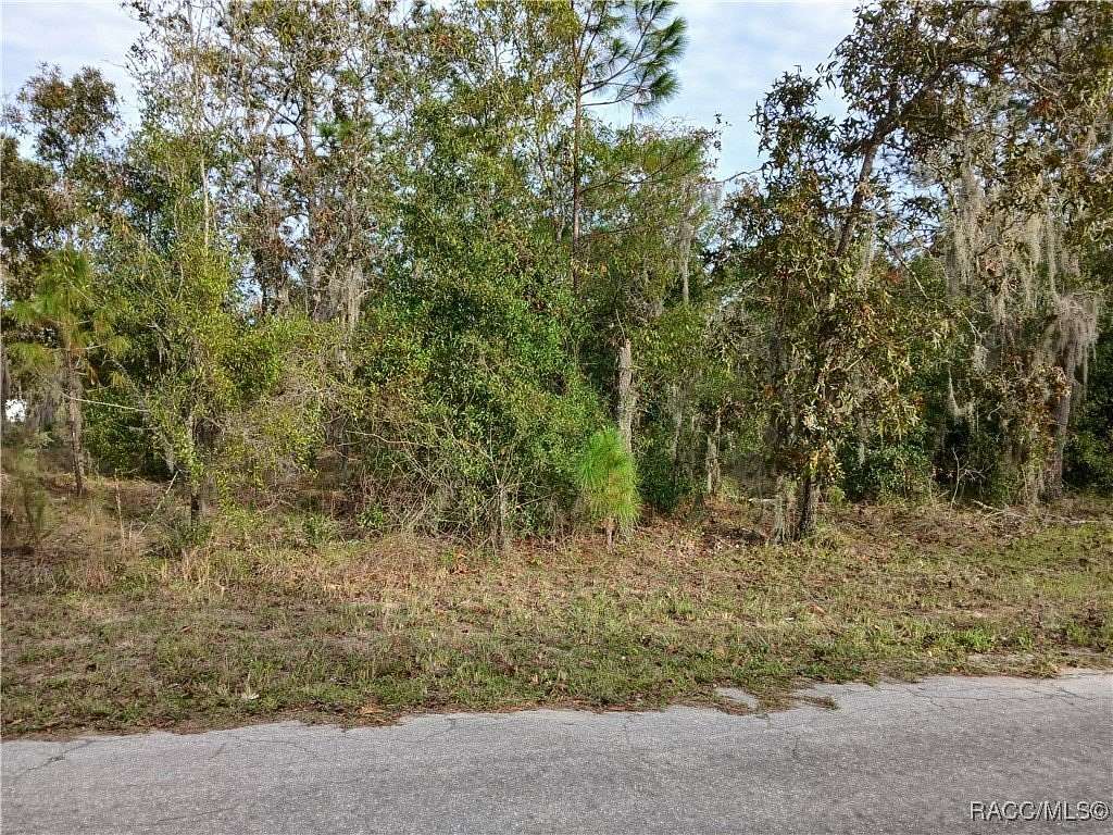 1 Acre of Residential Land for Sale in Dunnellon, Florida