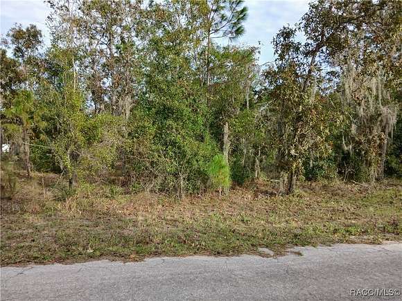 1 Acre of Residential Land for Sale in Dunnellon, Florida