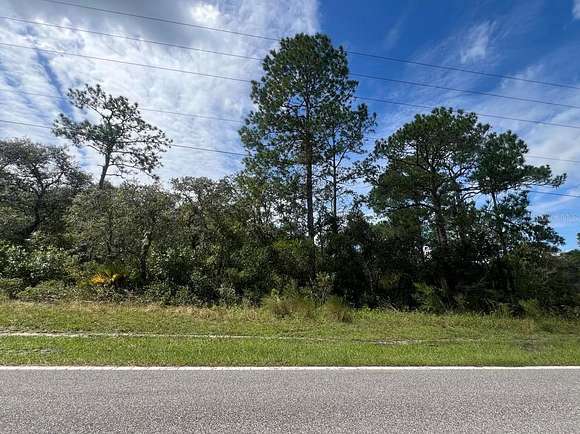 0.98 Acres of Land for Sale in Webster, Florida