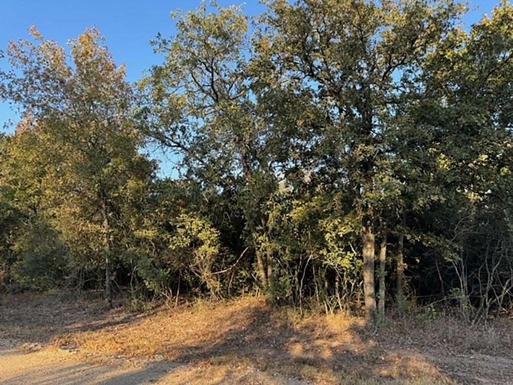 0.67 Acres of Residential Land for Sale in Caldwell, Texas