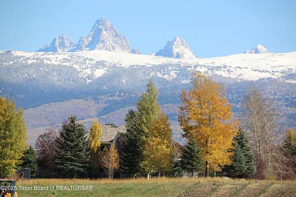 20.2 Acres of Land for Sale in Driggs, Idaho