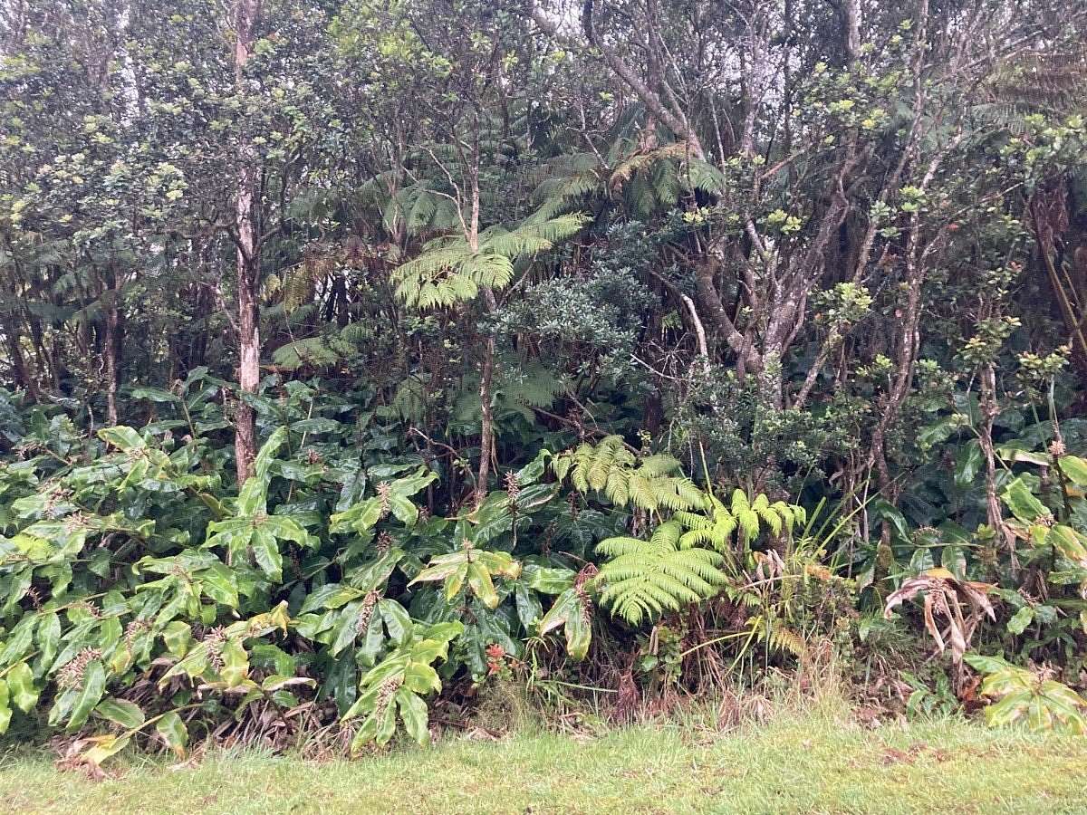 0.36 Acres of Residential Land for Sale in Volcano, Hawaii