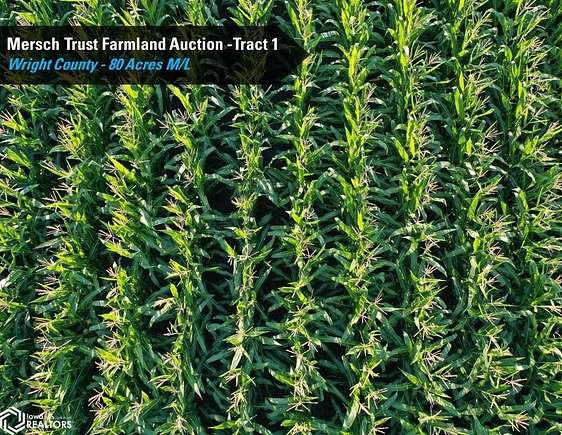 538.36 Acres of Agricultural Land for Auction in Clarion, Iowa