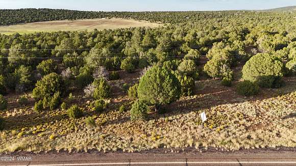 29.6 Acres of Land for Sale in Vernon, Arizona