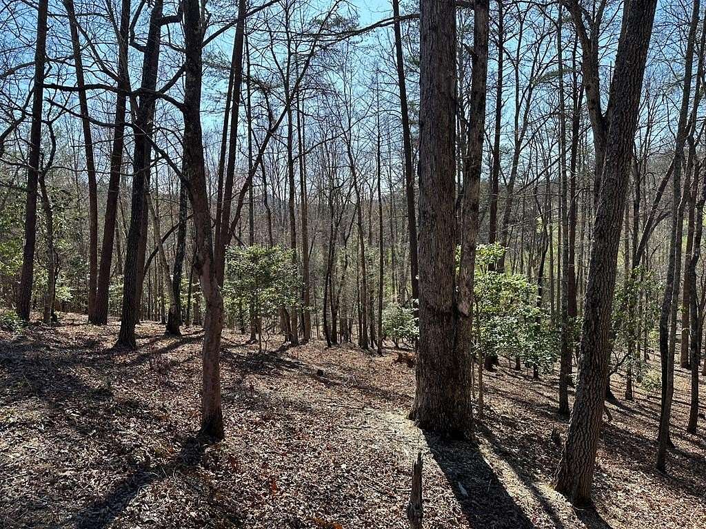 1.68 Acres of Land for Sale in Young Harris, Georgia