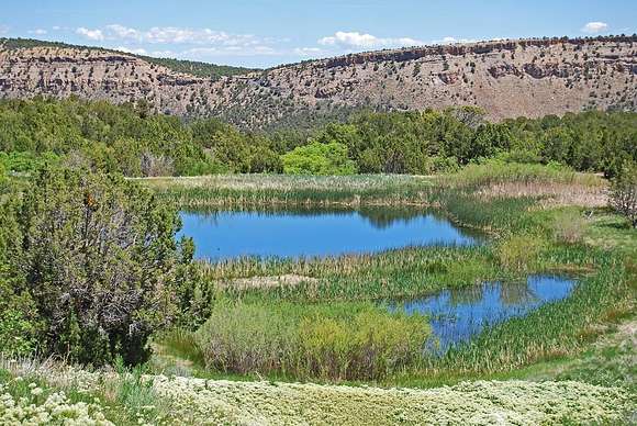 640 Acres of Recreational Land & Farm for Sale in Montrose, Colorado