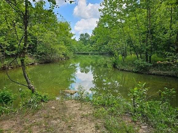 34.02 Acres of Recreational Land for Sale in Bee Spring, Kentucky