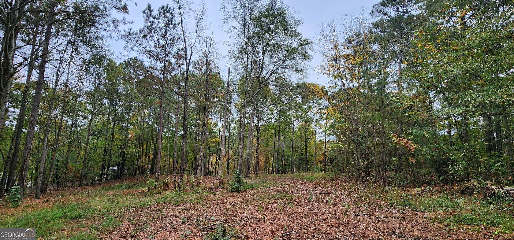 2 Acres of Residential Land for Sale in Monticello, Georgia