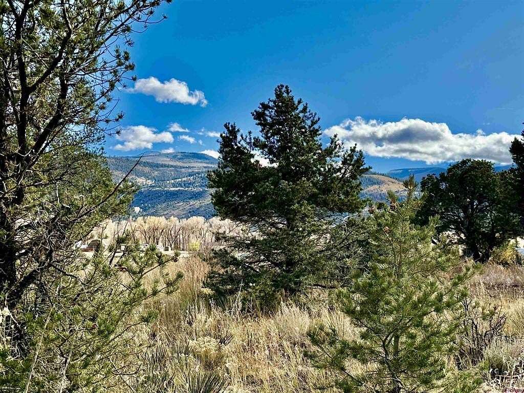 1.23 Acres of Residential Land for Sale in South Fork, Colorado