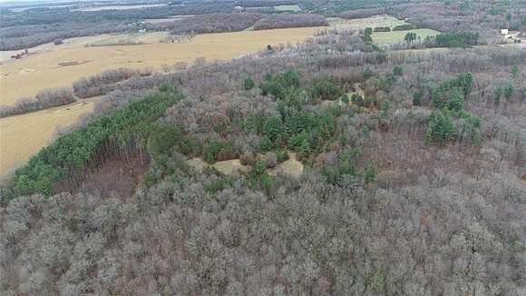 80 Acres of Land for Sale in Mondovi, Wisconsin