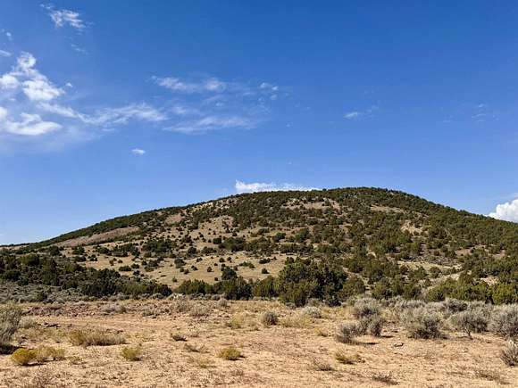 119.27 Acres of Recreational Land & Farm for Sale in De Beque, Colorado