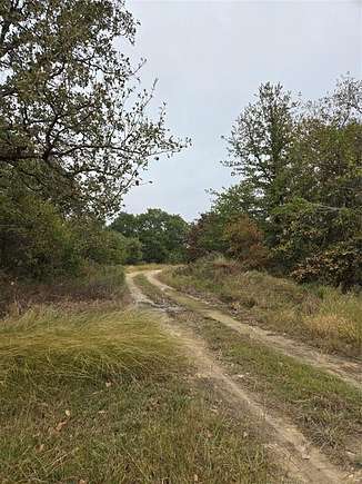 44.687 Acres of Recreational Land for Sale in Comanche, Texas