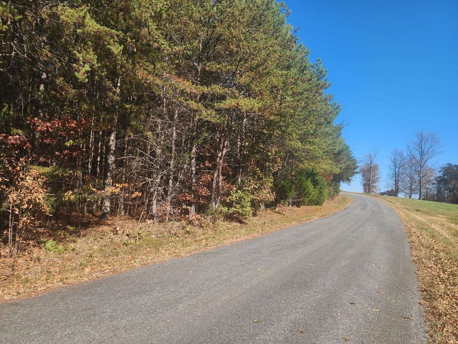 36.1 Acres of Land for Sale in Gladys, Virginia