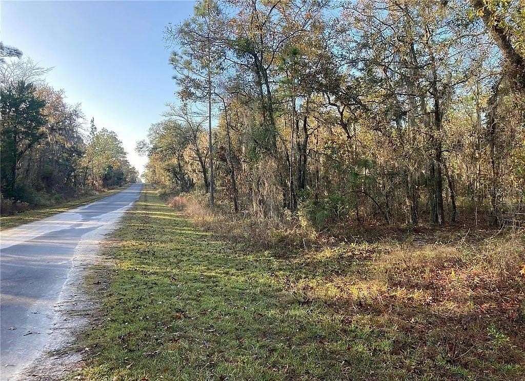 1 Acre of Residential Land for Sale in Dunnellon, Florida