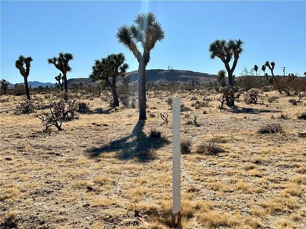 1.25 Acres of Residential Land for Sale in Yucca Valley, California
