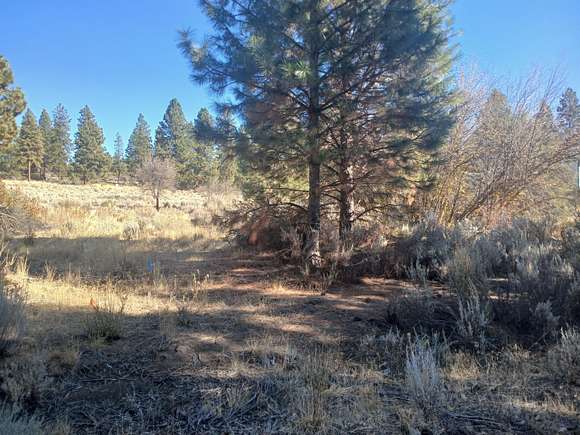 0.24 Acres of Residential Land for Sale in Chiloquin, Oregon