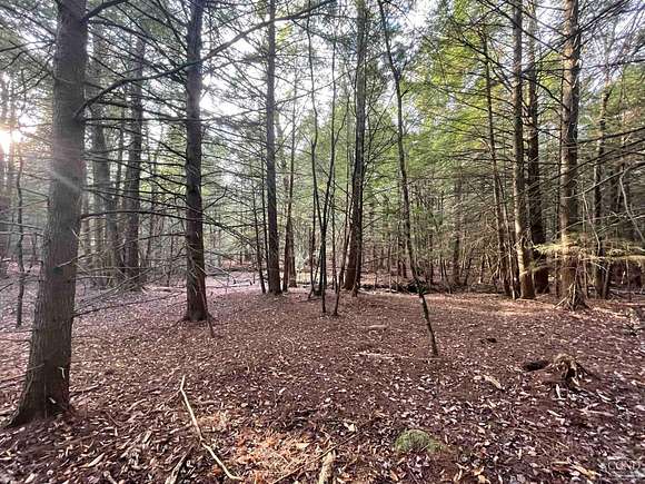 23.1 Acres of Recreational Land for Sale in Wawarsing, New York