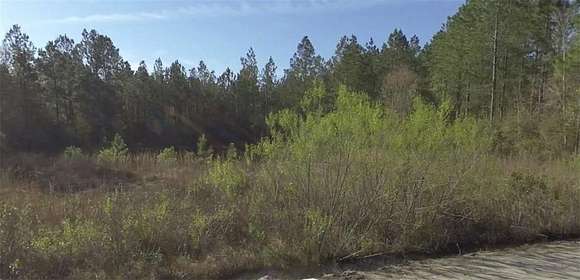 2.02 Acres of Residential Land for Sale in Nahunta, Georgia