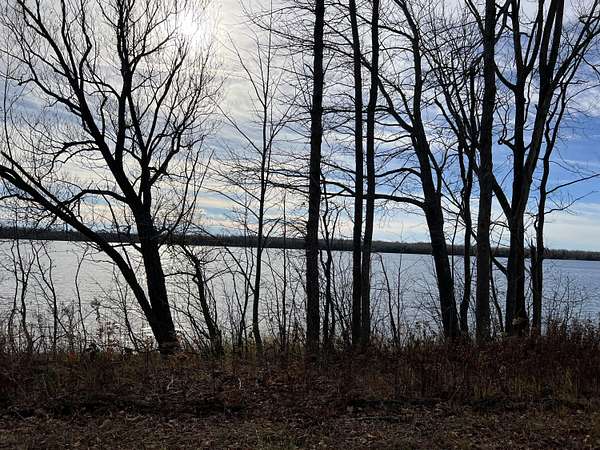 42.9 Acres of Recreational Land for Sale in Carp Lake, Michigan