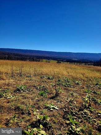 44.59 Acres of Land for Sale in Hedgesville, West Virginia