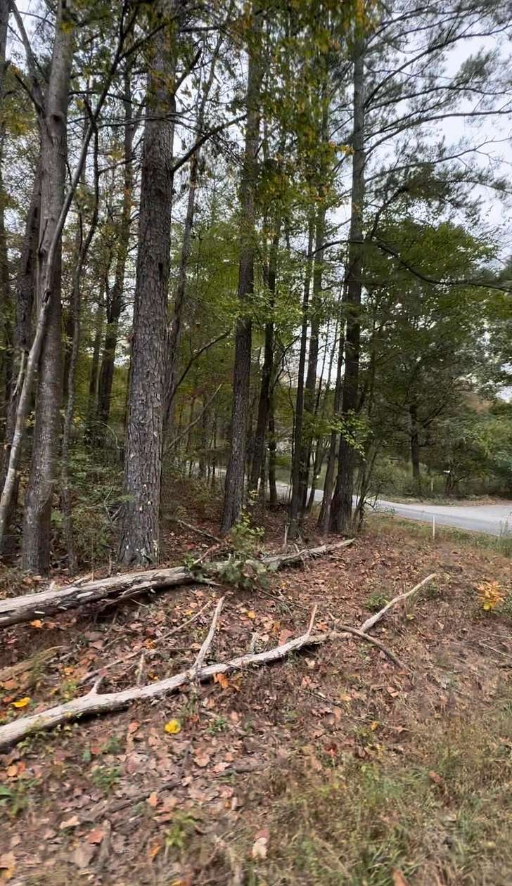 2.27 Acres of Land for Sale in Arley, Alabama