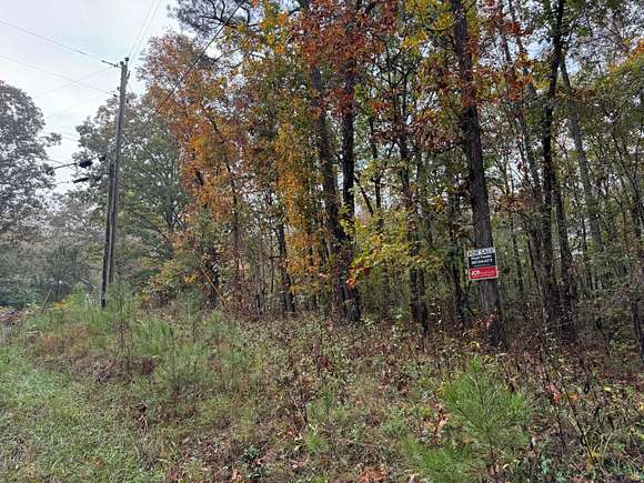 1 Acre of Land for Sale in Arley, Alabama