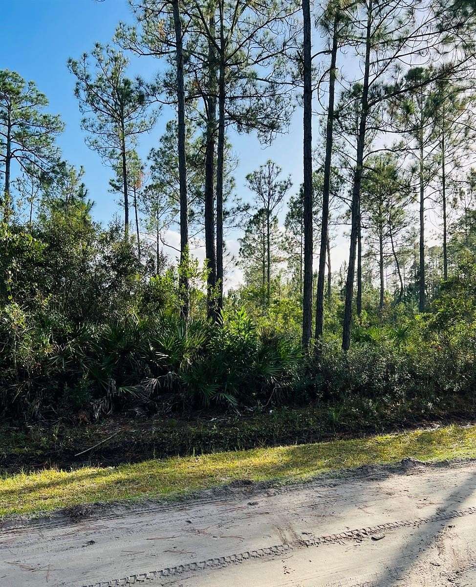 1.14 Acres of Land for Sale in Bunnell, Florida