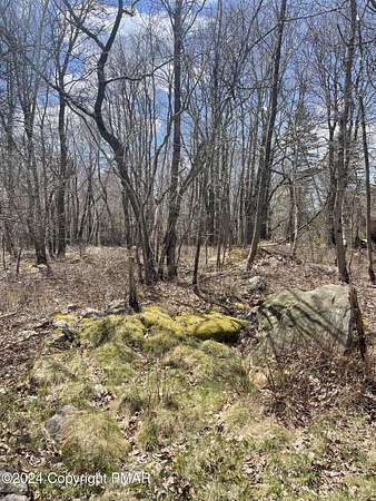 0.45 Acres of Land for Sale in Blakeslee, Pennsylvania