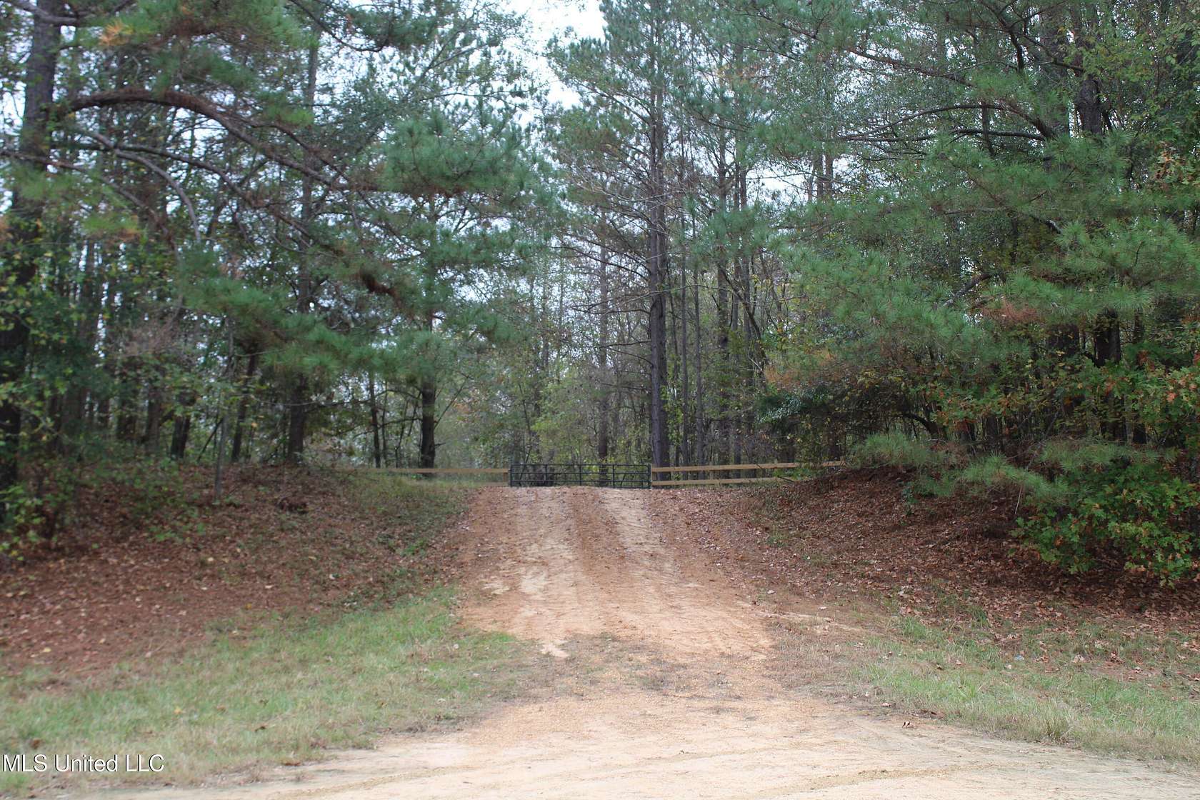 156.5 Acres of Recreational Land for Sale in Holcomb, Mississippi