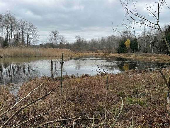 66.9 Acres of Land for Sale in Chautauqua, New York