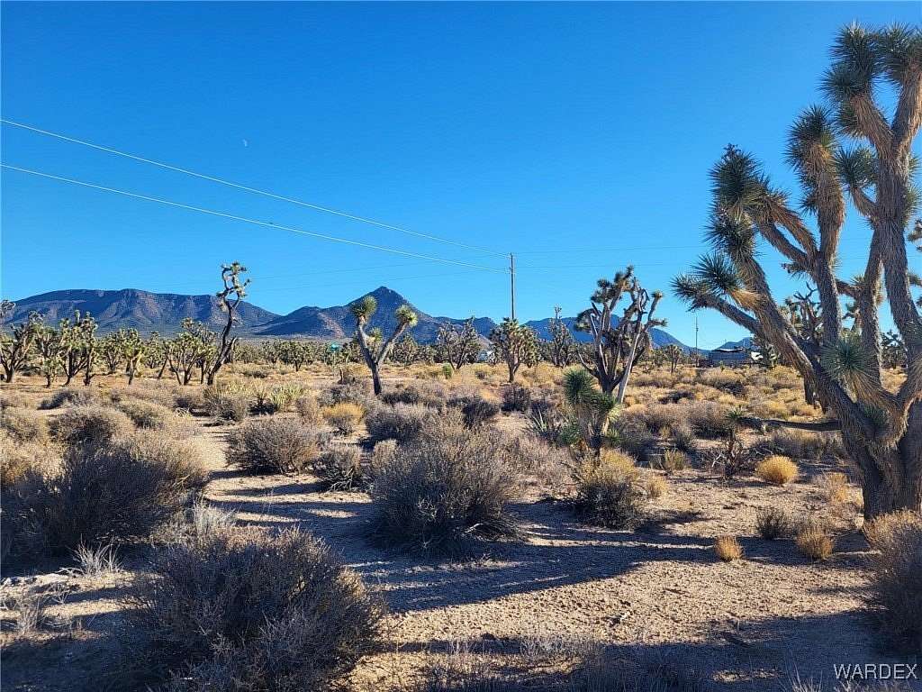 1.25 Acres of Residential Land for Sale in Meadview, Arizona