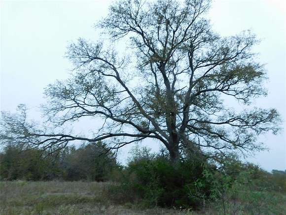 15 Acres of Recreational Land & Farm for Sale in Frost, Texas