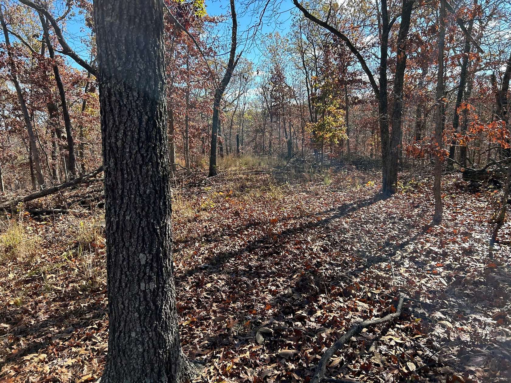 14.55 Acres of Recreational Land for Sale in Climax Springs, Missouri