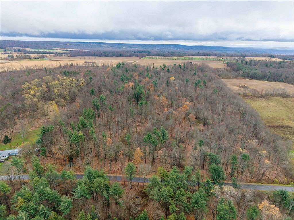 25.3 Acres of Recreational Land for Sale in Portage Town, New York