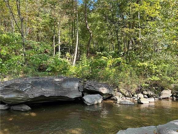 26.3 Acres of Recreational Land for Sale in Portage Town, New York