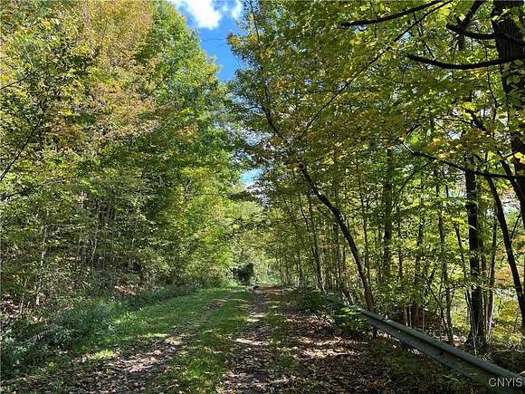 26.3 Acres of Recreational Land for Sale in Portage Town, New York