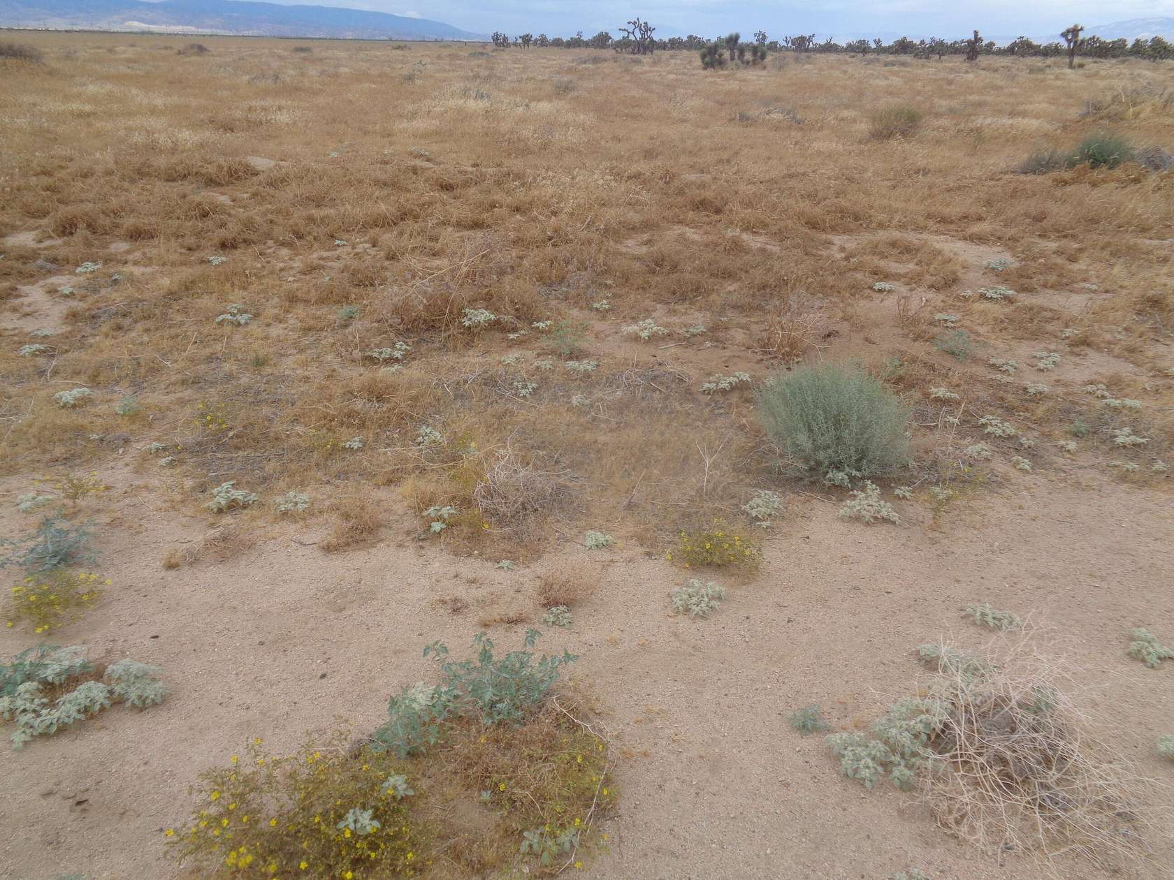 Land for Sale in Lancaster, California