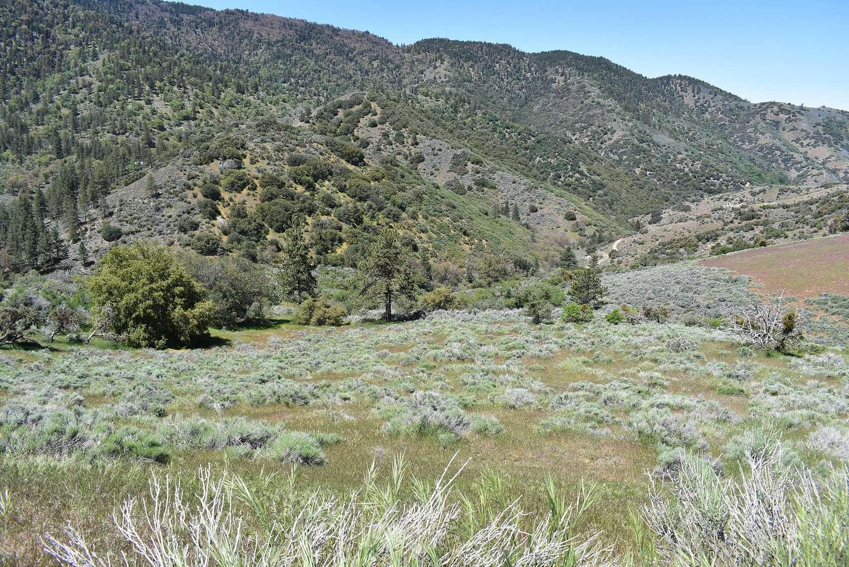 Land for Sale in Tehachapi, California