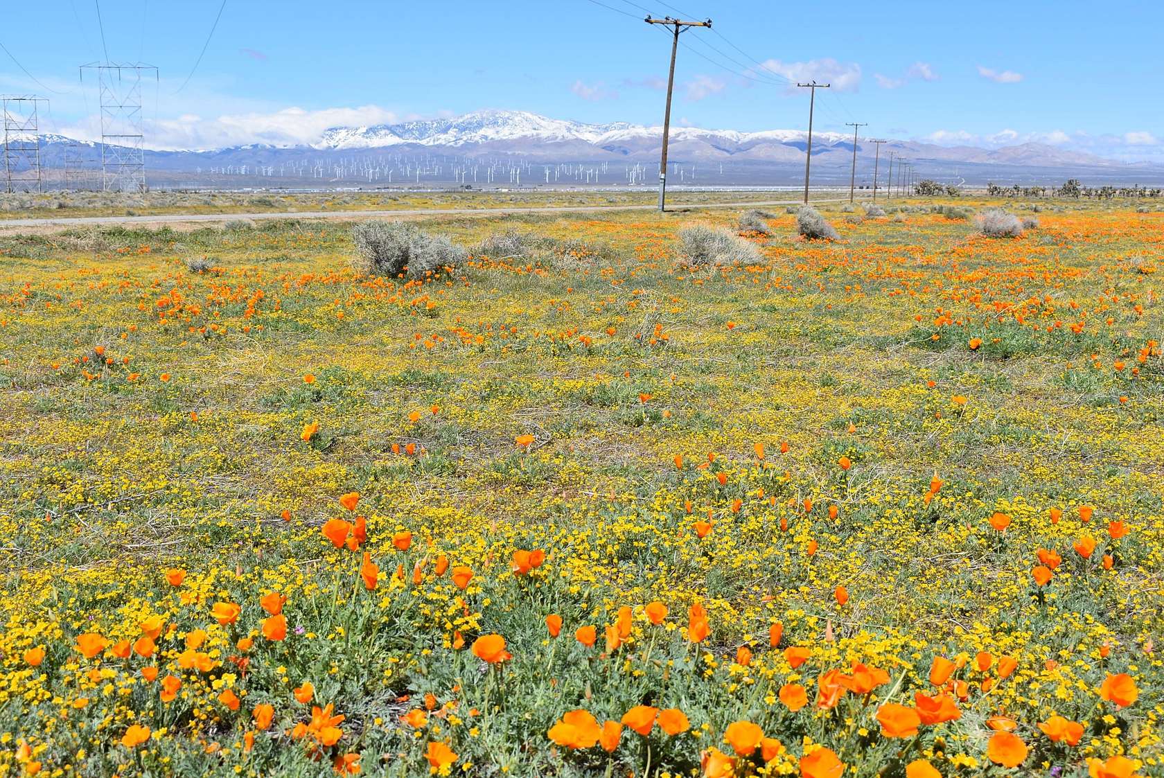 Land for Sale in Fairmont, California